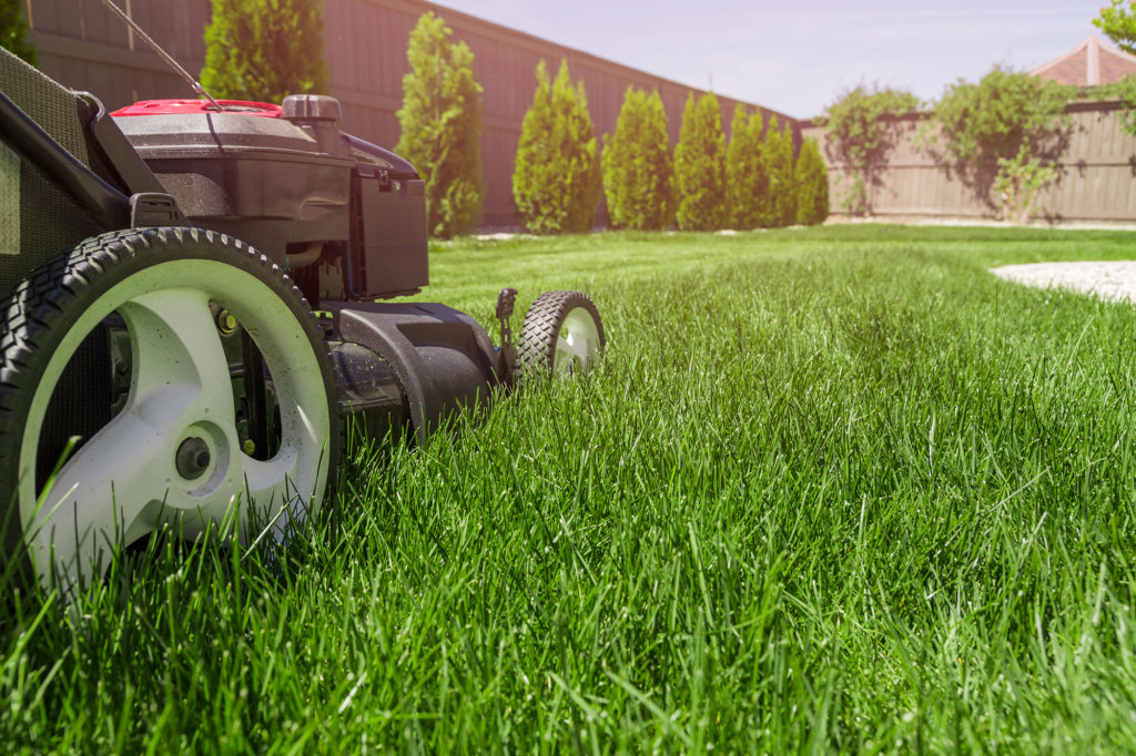 lawn-care-services-ct-1024x682-1.jpg (1024×682)